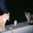 chillytheog's profile picture