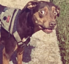 SHOCKED