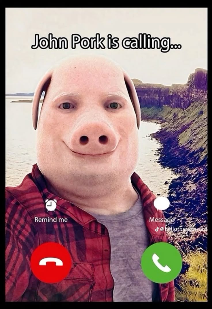 PORK