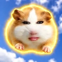KimGgooi