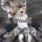 Crypto__leo's profile picture
