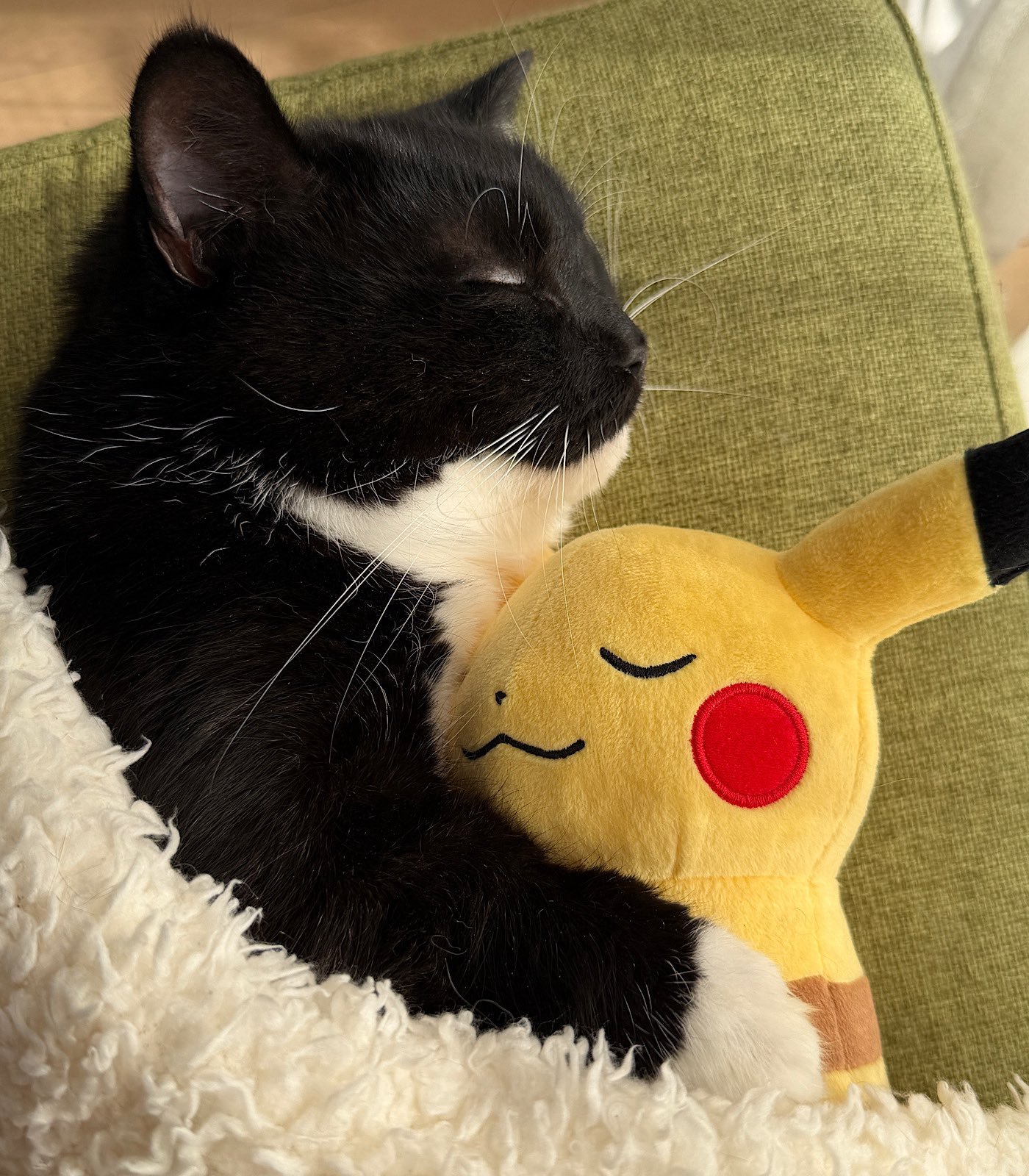 PIKACAT