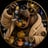 cryptopotamus's profile picture