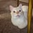 user80085's profile picture