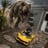 HOTHEADDJOE's profile picture