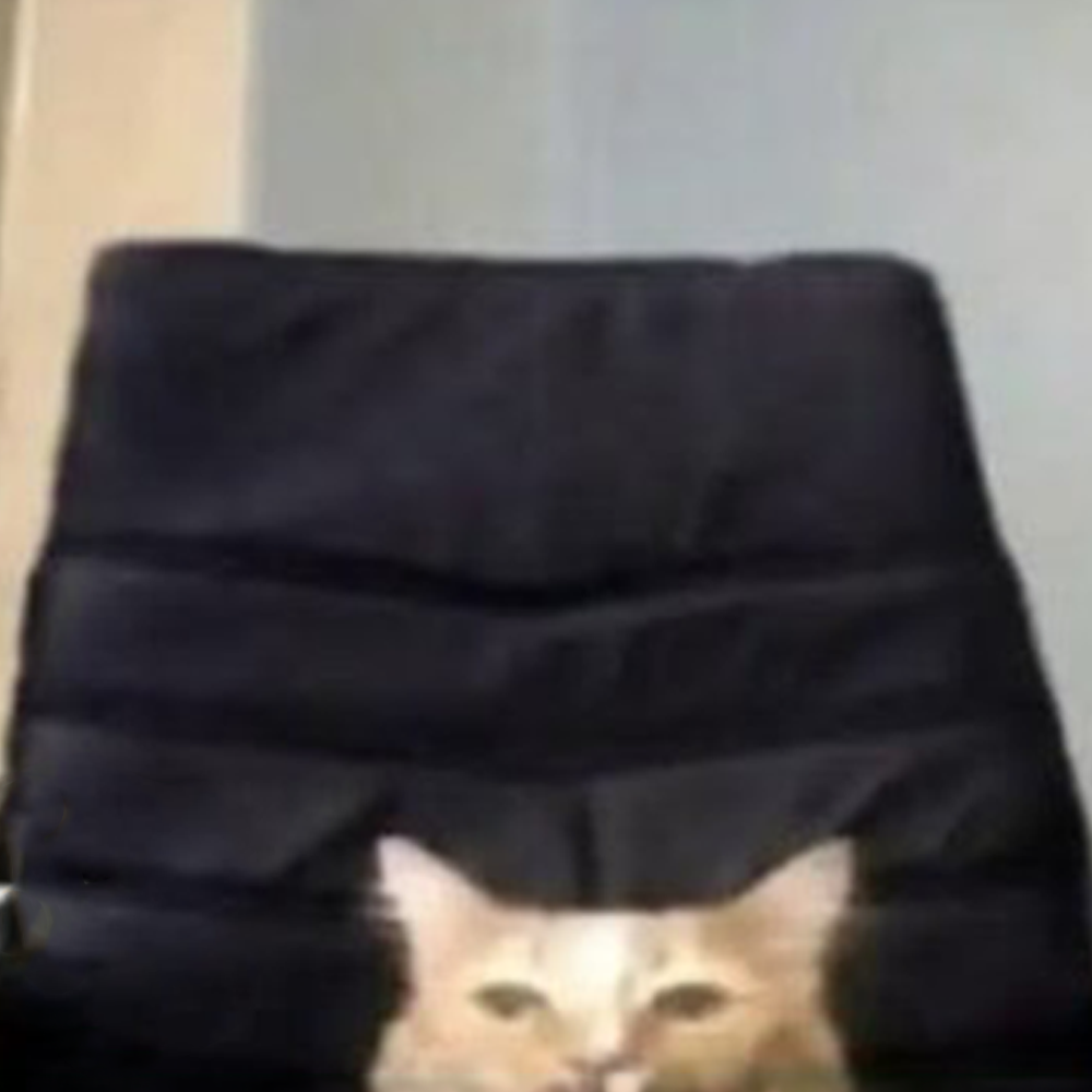 rico