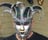 G_Brain's profile picture