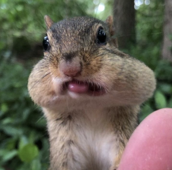 SQUISHY