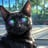 shadowsol916's profile picture
