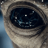 tzolder's profile picture