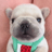 pibbylau's profile picture
