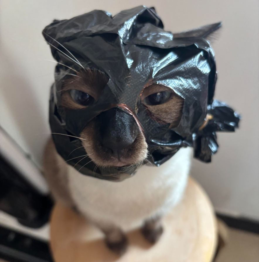 crimecat