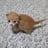 pajucity1909's profile picture